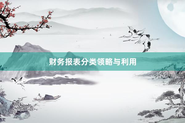 财务报表分类领略与利用